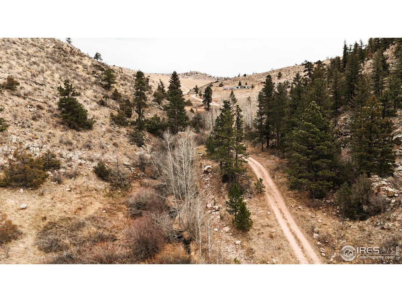 846 Boxer Ranch Road Livermore, CO 80536 - Photo 43 of 46