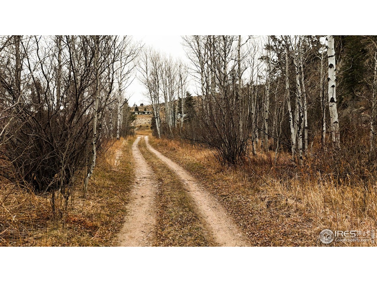 846 Boxer Ranch Road Livermore, CO 80536 - Photo 44 of 46