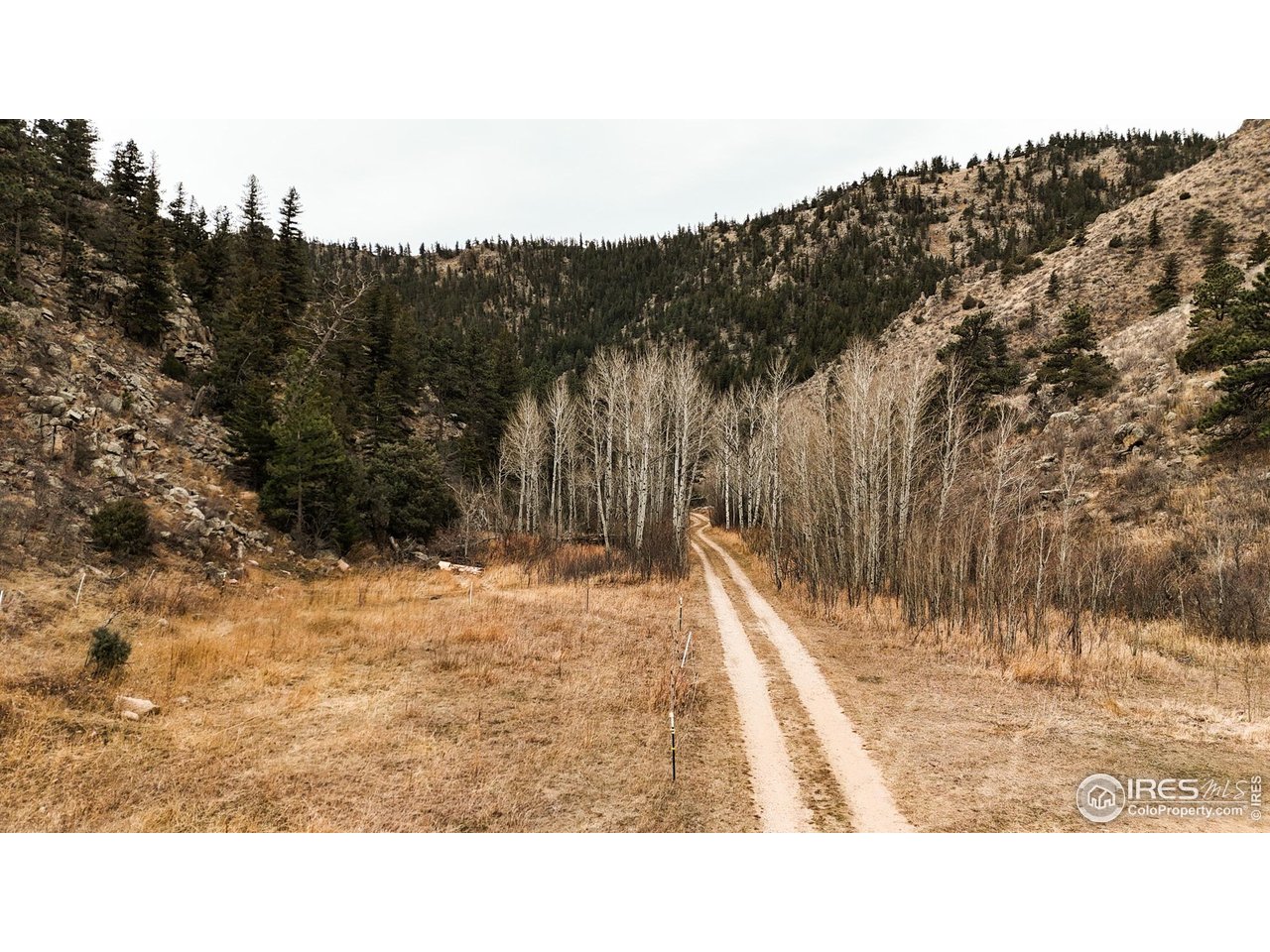 846 Boxer Ranch Road Livermore, CO 80536 - Photo 6 of 46