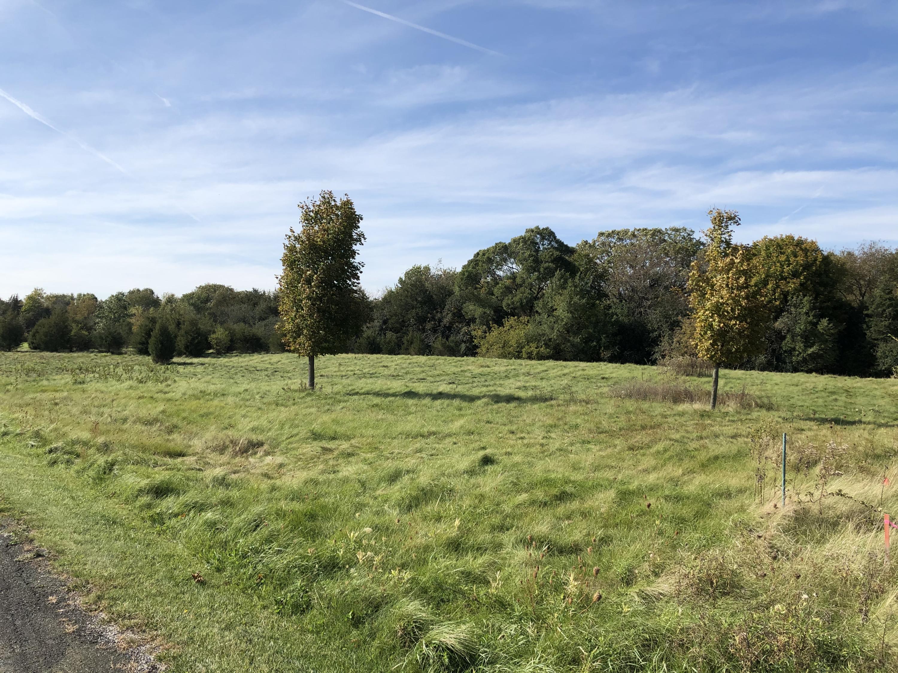 Photo of Lot