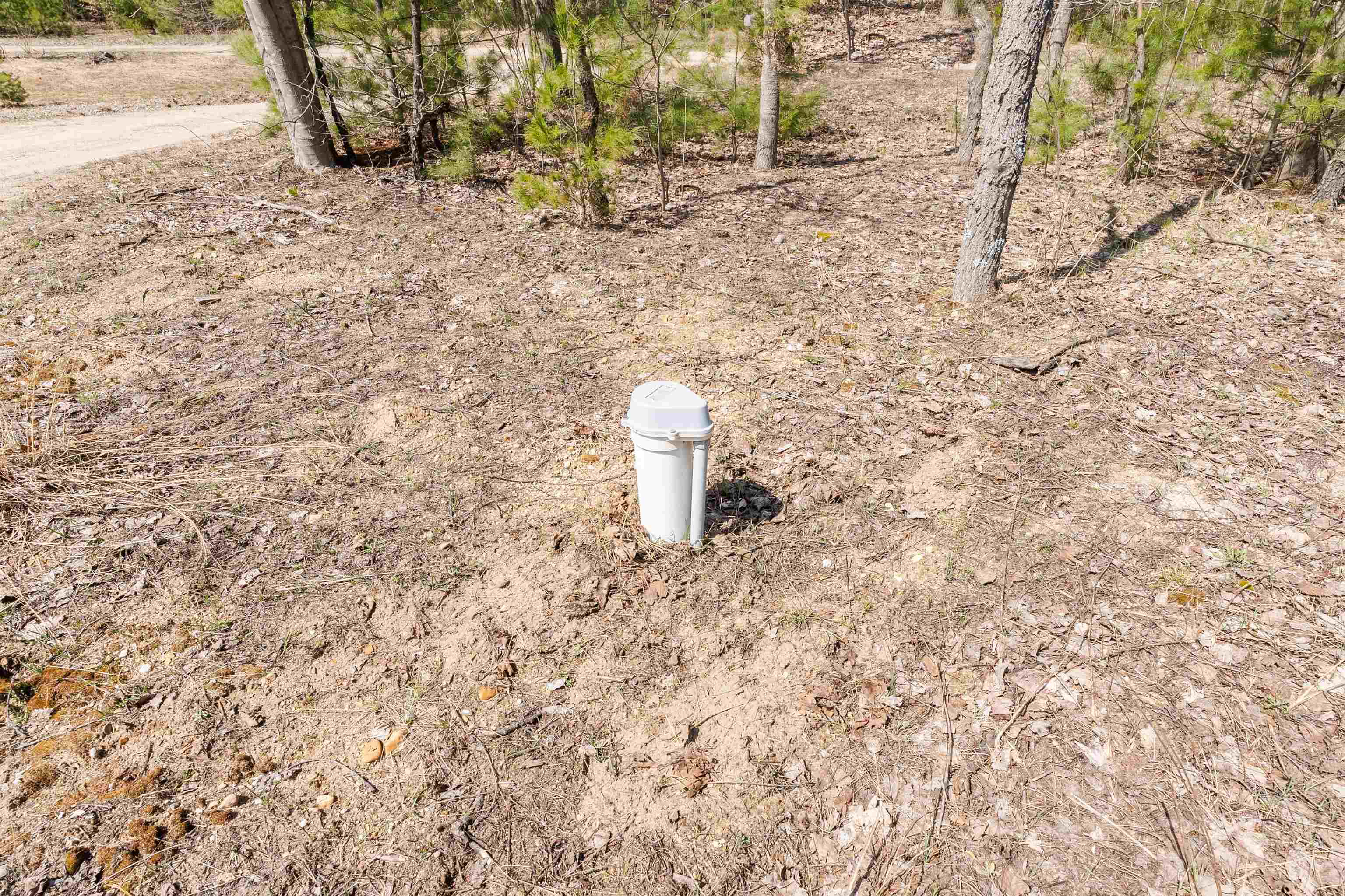 3775 West County Line Road Buckley, MI 49620 - Photo 8 of 28