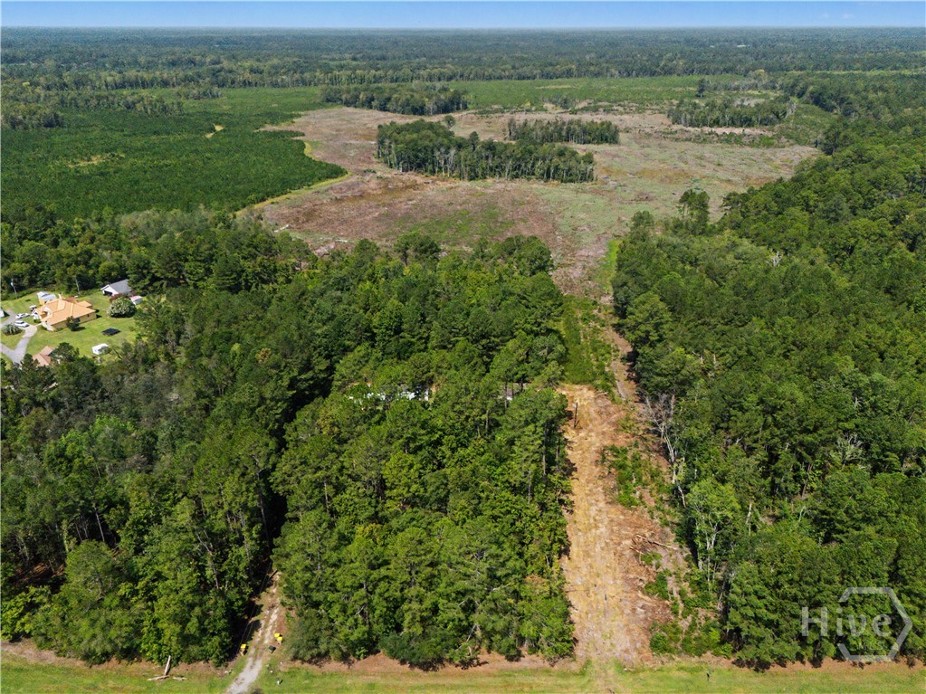 729 Reedsville Road Clyo, GA 31303 - Photo 39 of 41 Gallery Image 39