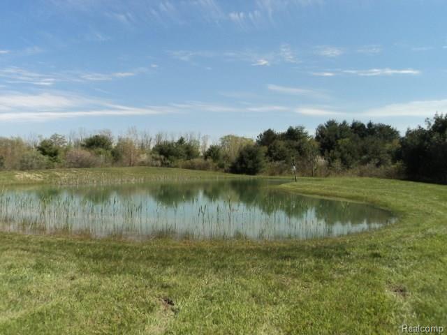 4815 Cuttle Road St. Clair, MI 48079 - Photo 25 of 26 CUTTLE AND GRATIOT 005.JPG