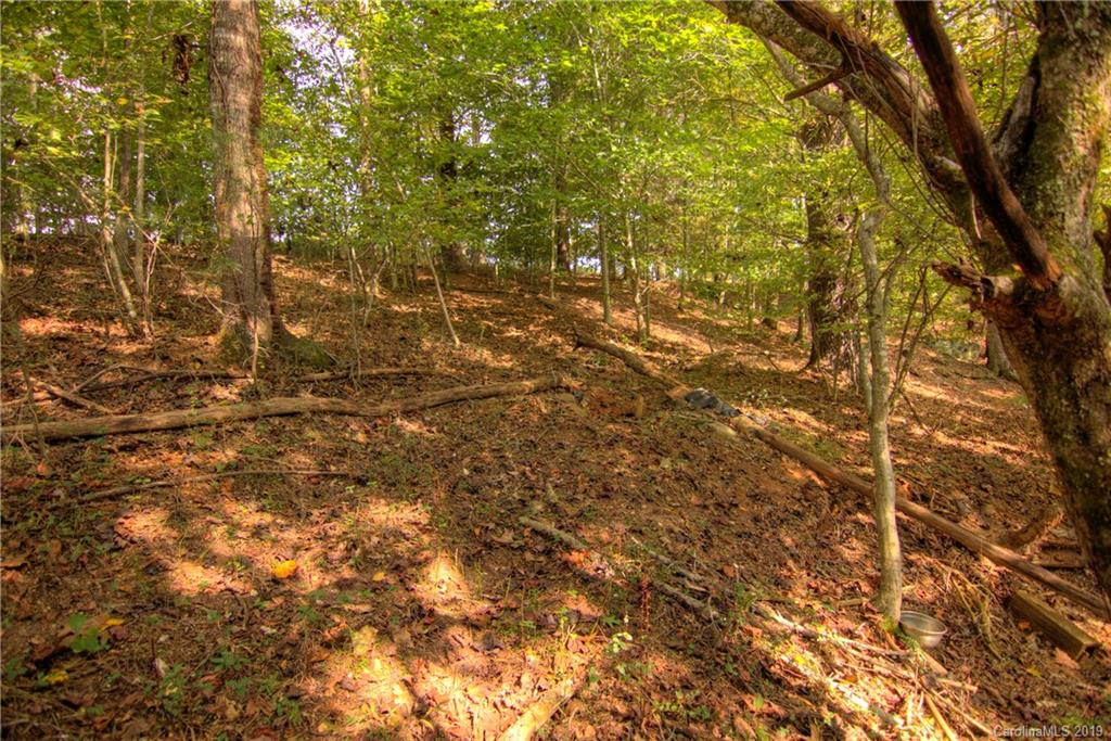 112 Rabbit Hop Road Spruce Pine, NC 28777 - Photo 14 of 15 Gallery Image 14