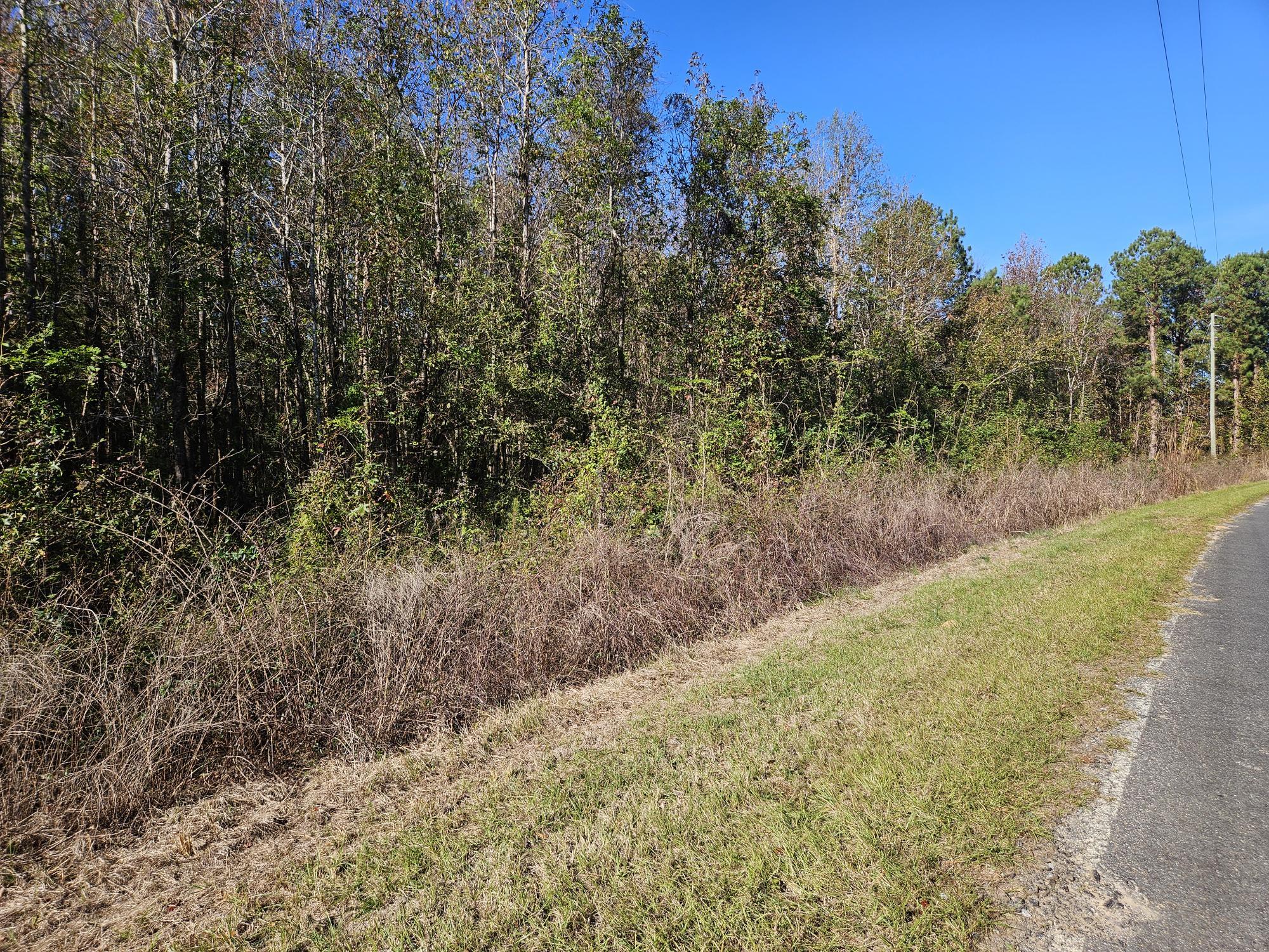 Tbd William Brunson Road Summerton, SC 29148 - Photo 8 of 31 STREET VIEW