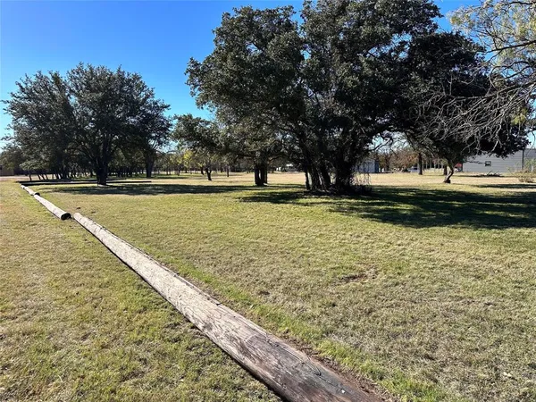 a view of a yard with large trees