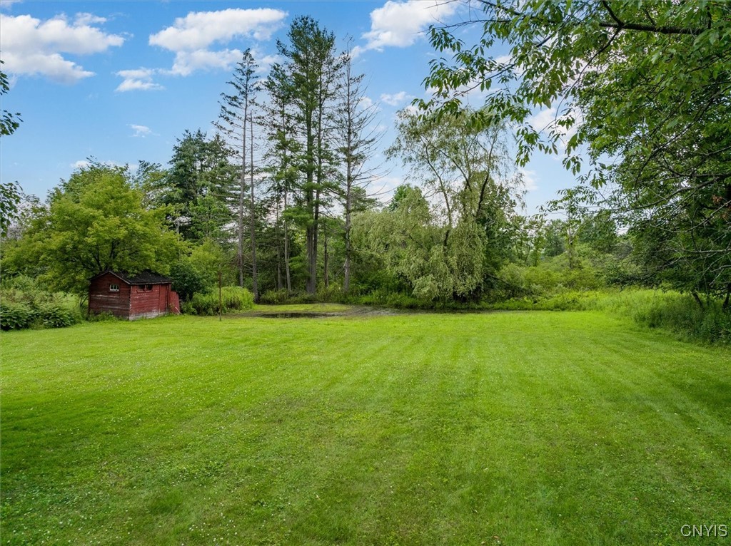 53 Payne Street Hamilton, NY 13346 - Photo 44 of 45 Backyard views