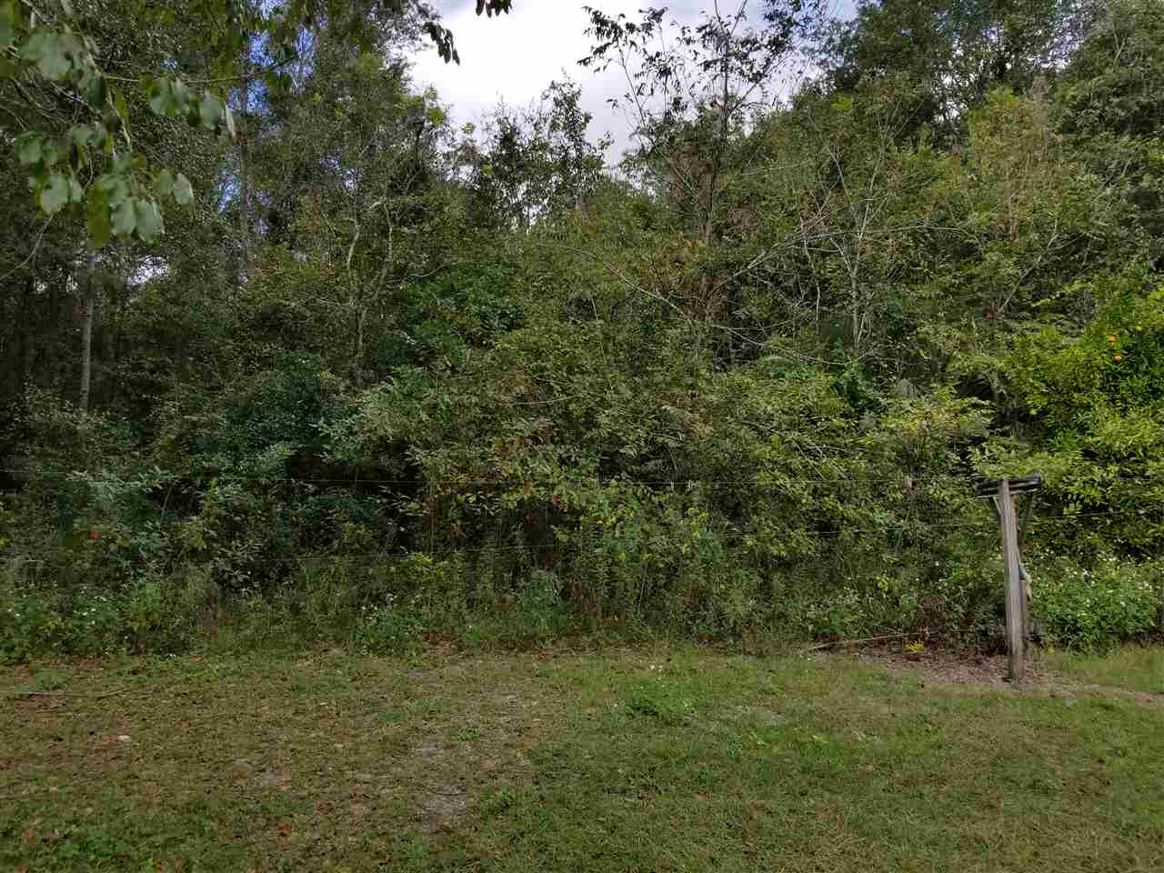1941 Concord Road Havana, FL 32333 - Photo 5 of 21 Gallery Image 5