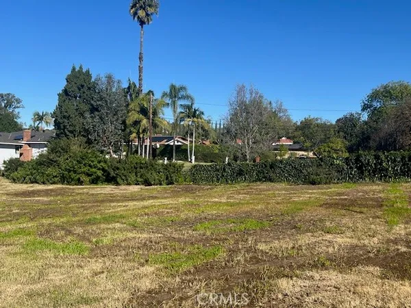 a big yard with lots of green space