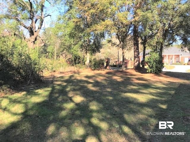 0 Pherin Woods Court Mobile, AL 36608 - Photo 7 of 11 View of yard