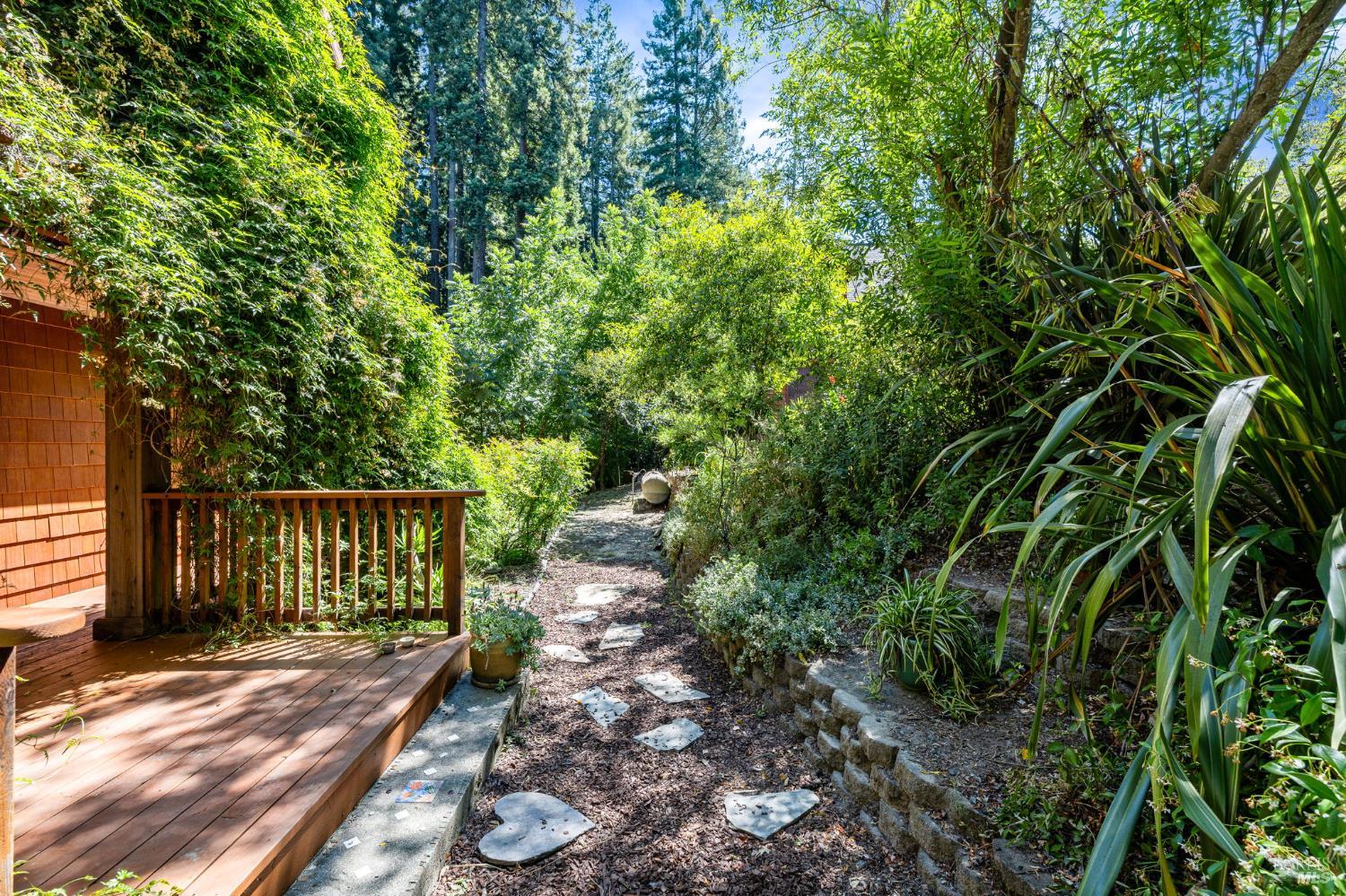 9935 Occidental Road Sebastopol, CA 95472 - Photo 35 of 59 This walking path leads you to a lovely walking trail along the creek