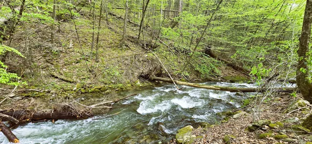 $299,000 | 266 Sugarloaf Road, Grahamsville, NY 12740