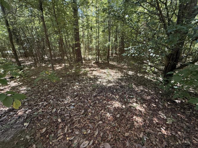 8335 Victoria Lake Drive, Unit 1 Waxhaw, NC 28173 - Photo 1 of 7