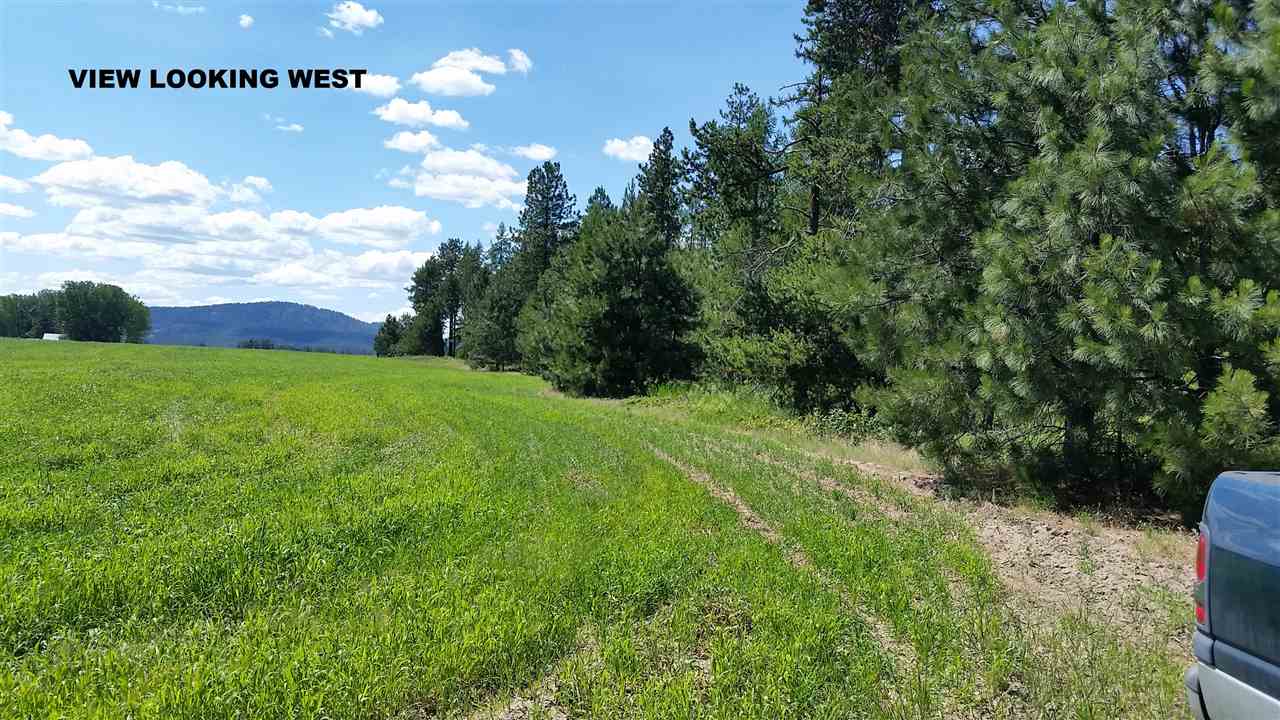 Xx West Staley Road, Unit PARCEL #5 Deer Park, WA 99006 - Photo 3 of 6