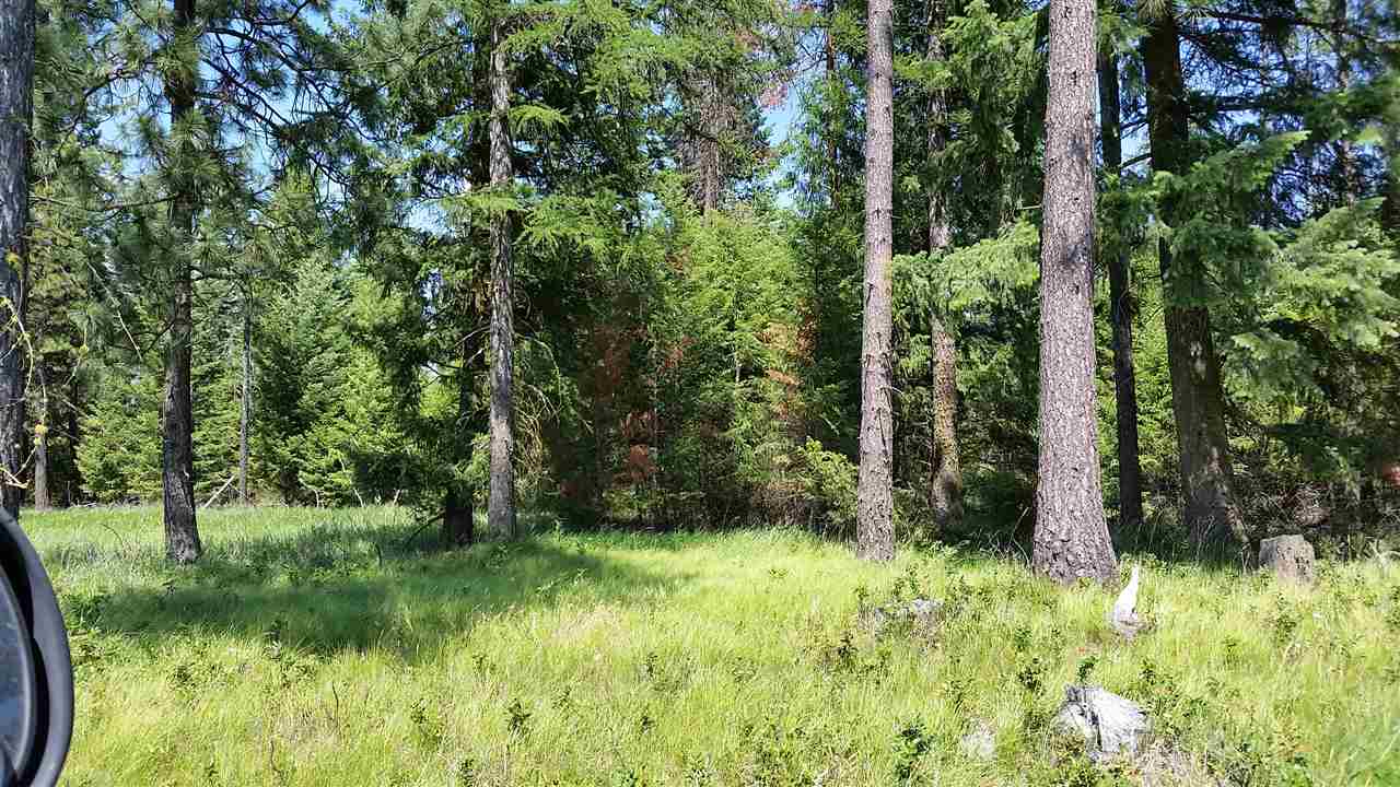 Xx West Staley Road, Unit PARCEL #5 Deer Park, WA 99006 - Photo 4 of 6