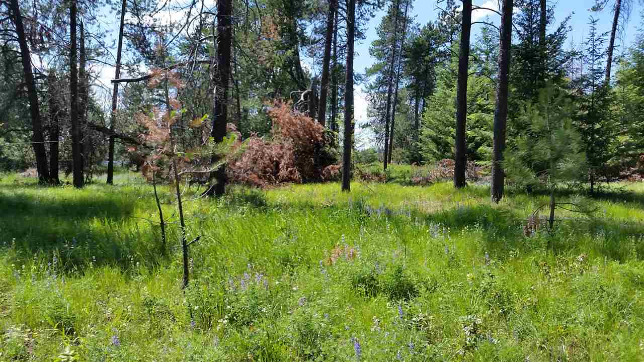 Xx West Staley Road, Unit PARCEL #5 Deer Park, WA 99006 - Photo 5 of 6