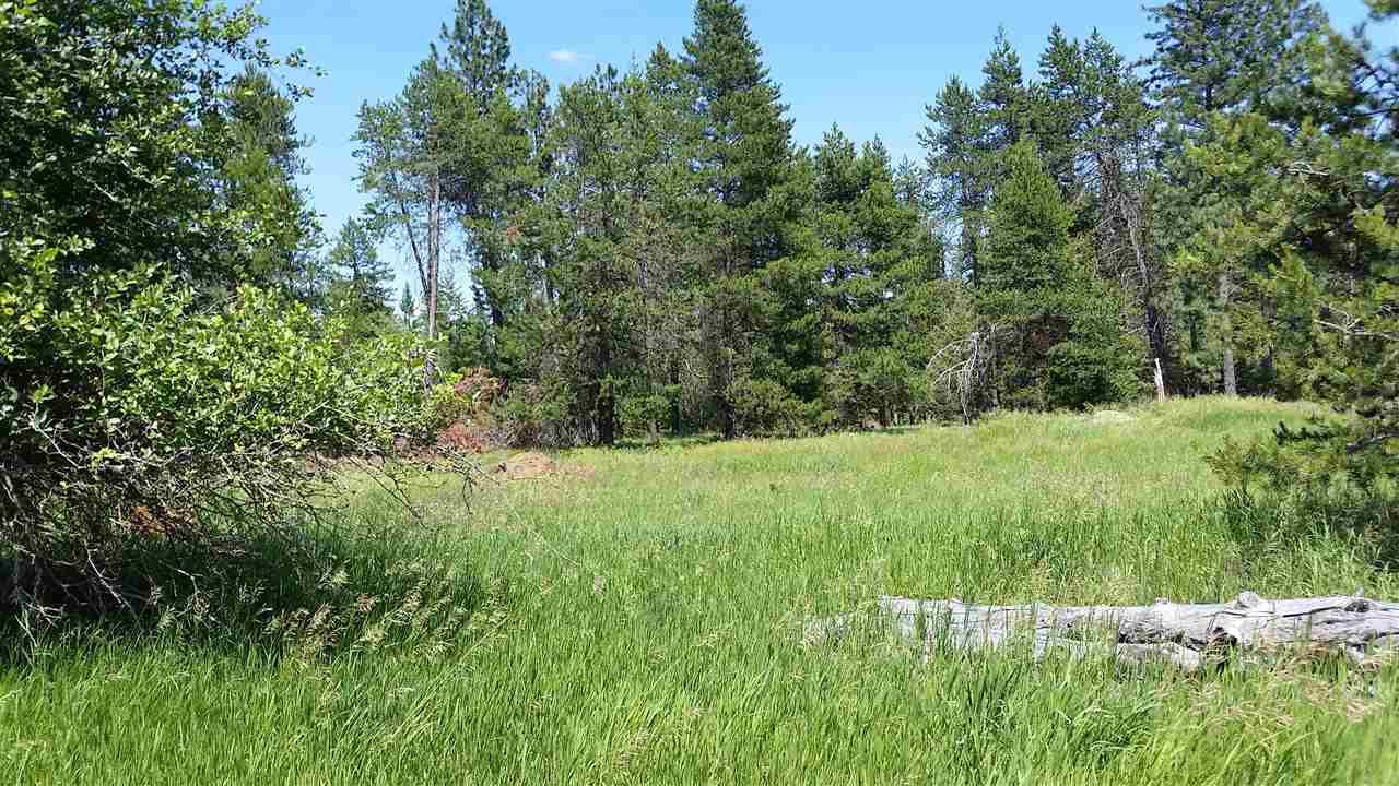 Xx West Staley Road, Unit PARCEL #5 Deer Park, WA 99006 - Photo 6 of 6