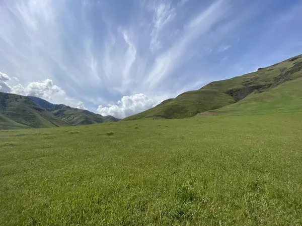 $3,000,000 | Tbd Tbd None, Craigmont, ID 83523