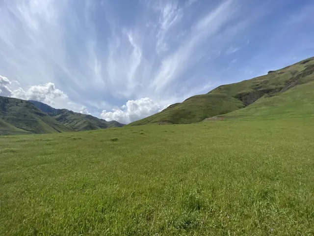 $3,000,000 | Tbd Tbd None, Craigmont, ID 83523