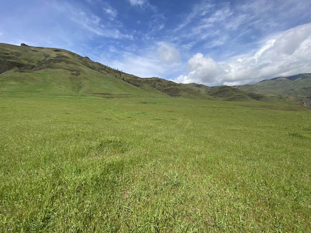 Tbd Tbd None Craigmont, ID 83523 - Photo 40 of 41 Air strip