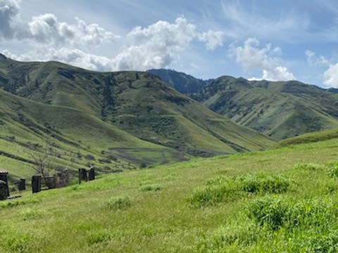 Tbd Tbd None Craigmont, ID 83523 - Photo 7 of 41