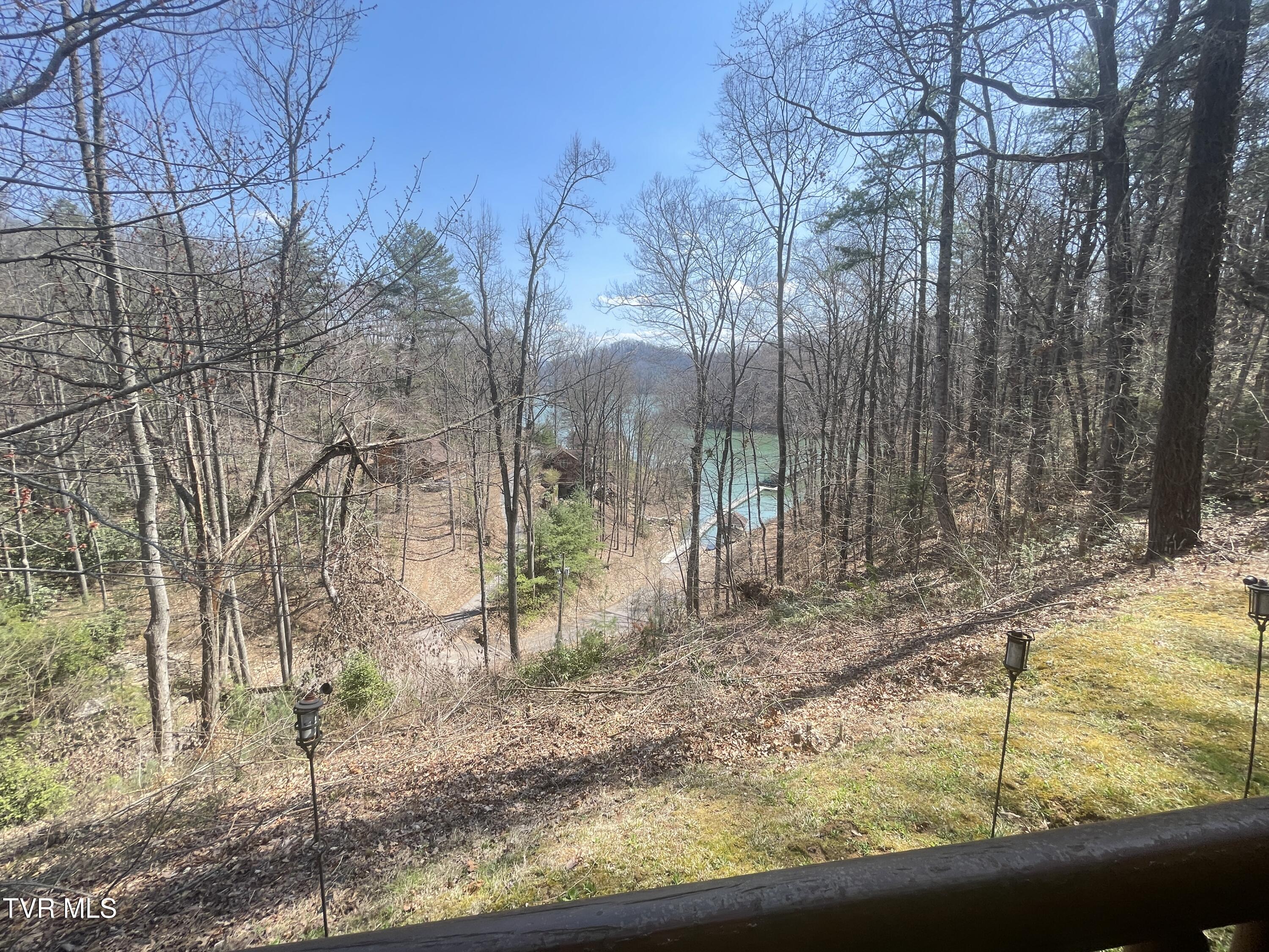 236 Lakeside Drive Butler, TN 37640 - Photo 42 of 61 IMG_7781