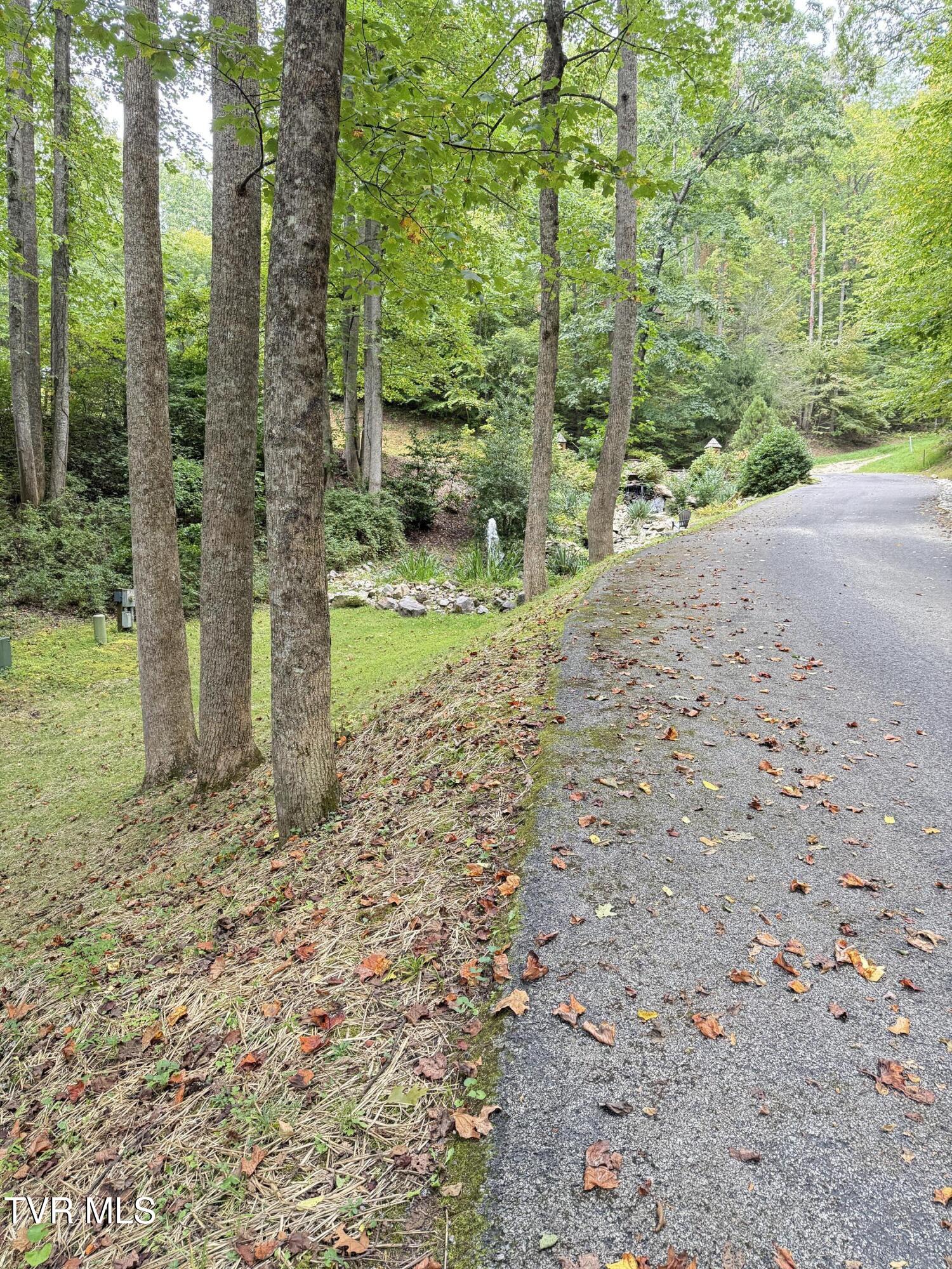 236 Lakeside Drive Butler, TN 37640 - Photo 53 of 61 IMG_1326