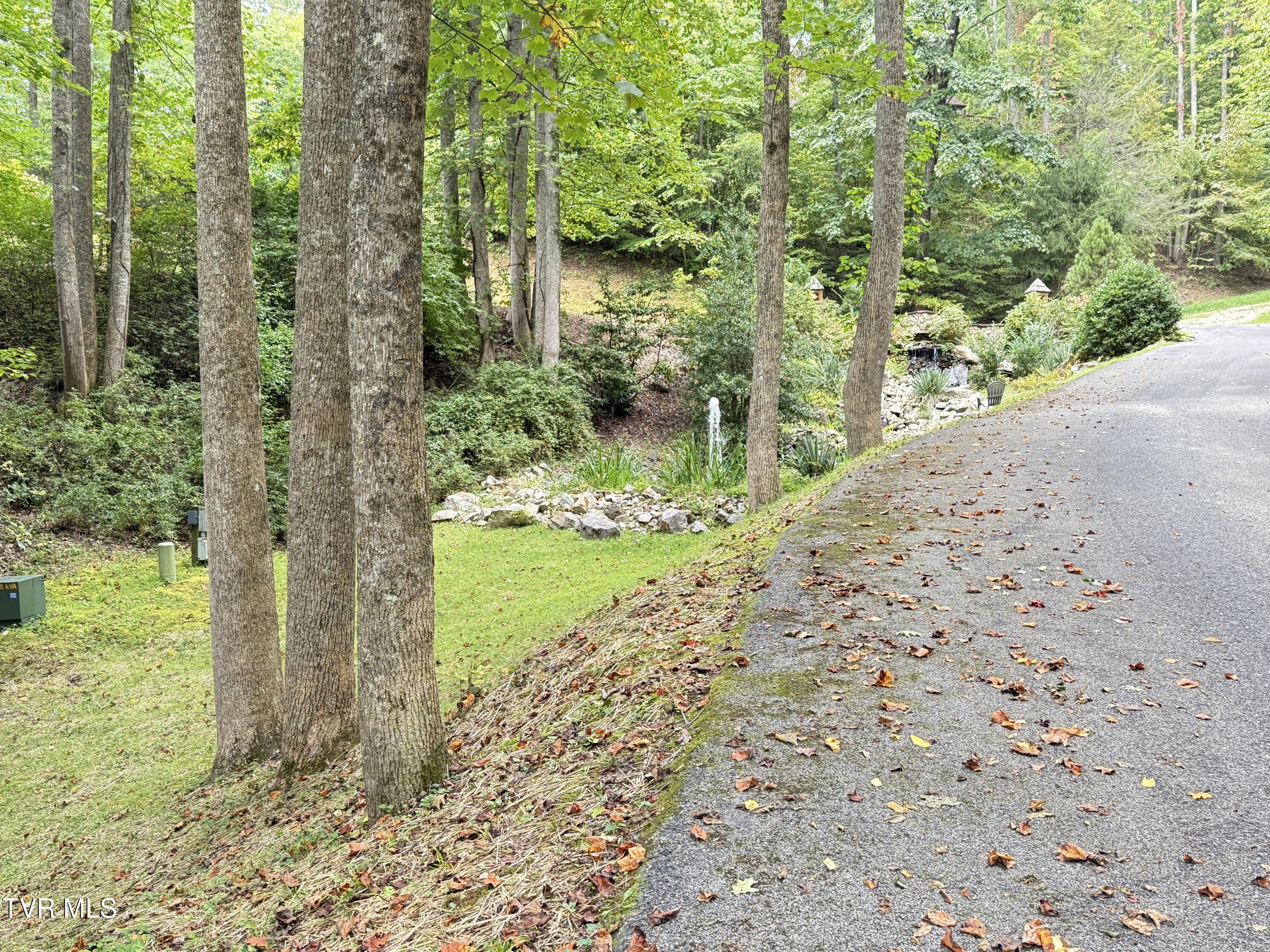 236 Lakeside Drive Butler, TN 37640 - Photo 54 of 61 IMG_1324