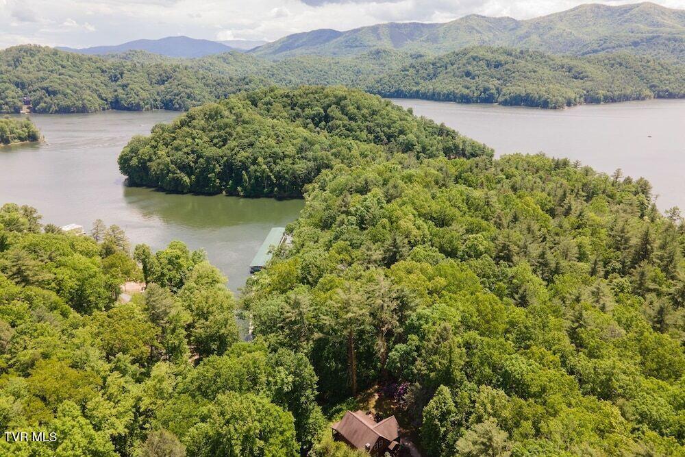 236 Lakeside Drive Butler, TN 37640 - Photo 59 of 61 LS ARIEL