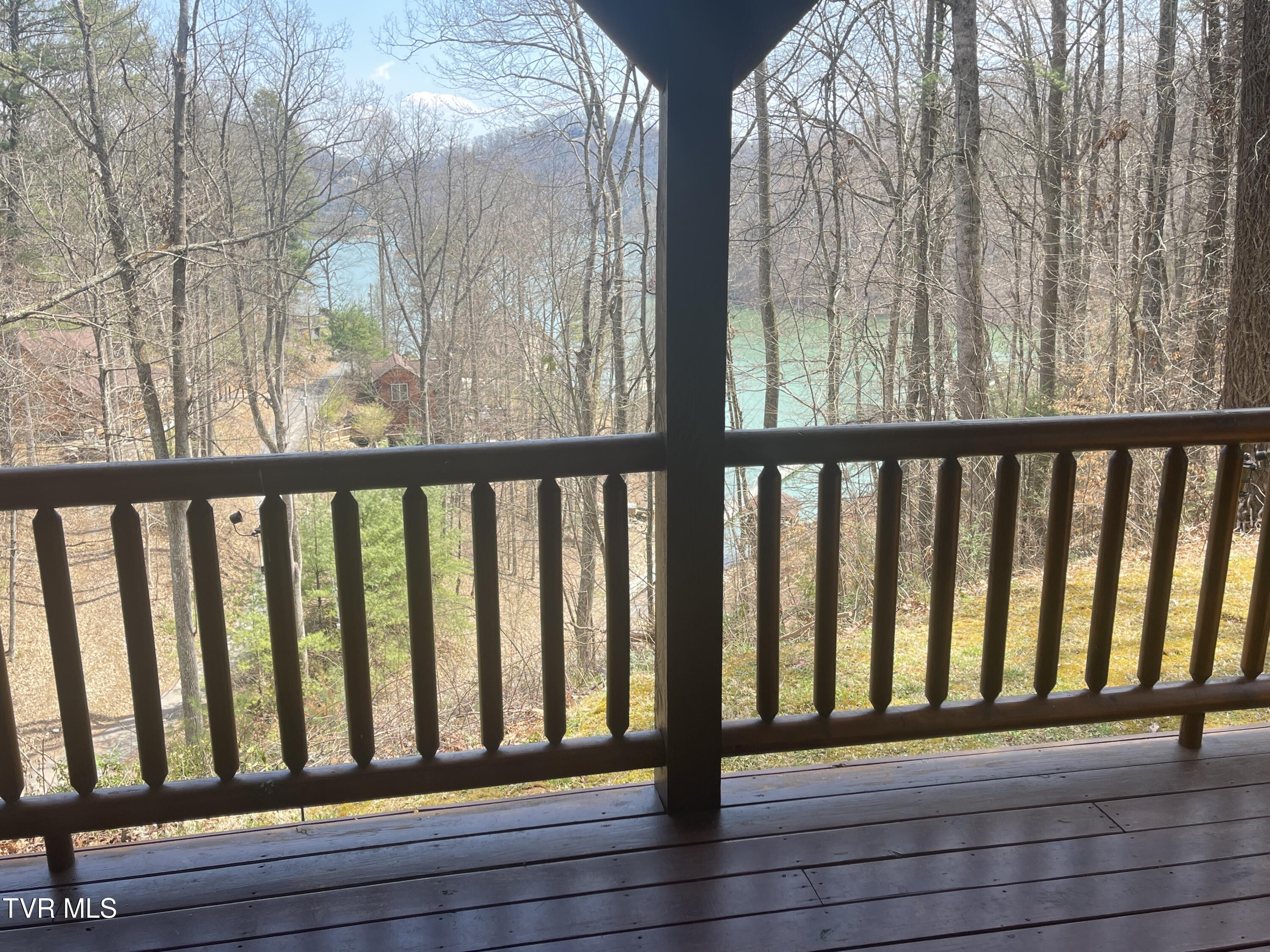 236 Lakeside Drive Butler, TN 37640 - Photo 8 of 61 IMG_7806