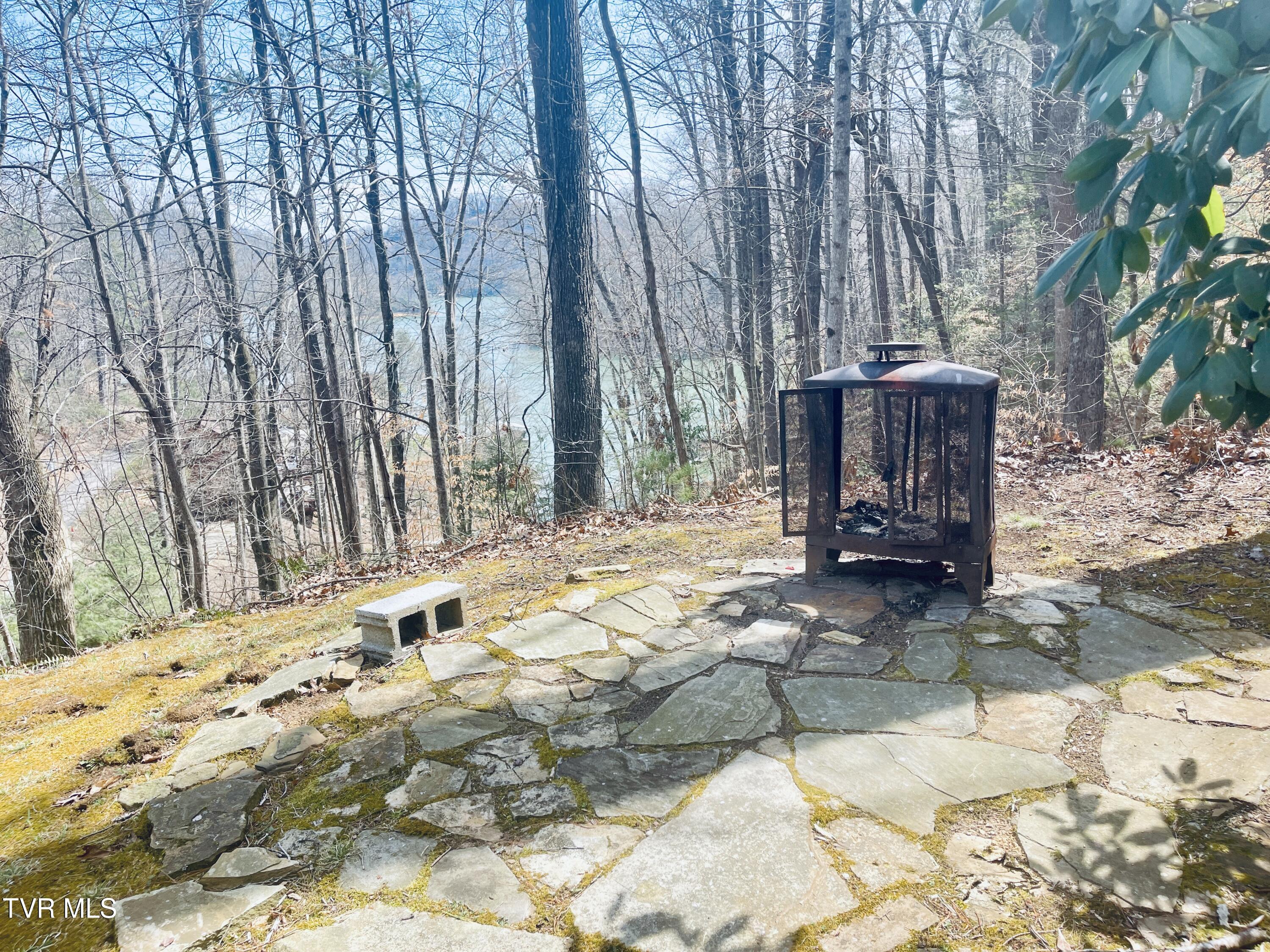 236 Lakeside Drive Butler, TN 37640 - Photo 9 of 61 IMG_7815