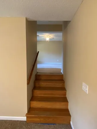 a bathroom with a shower and a toilet