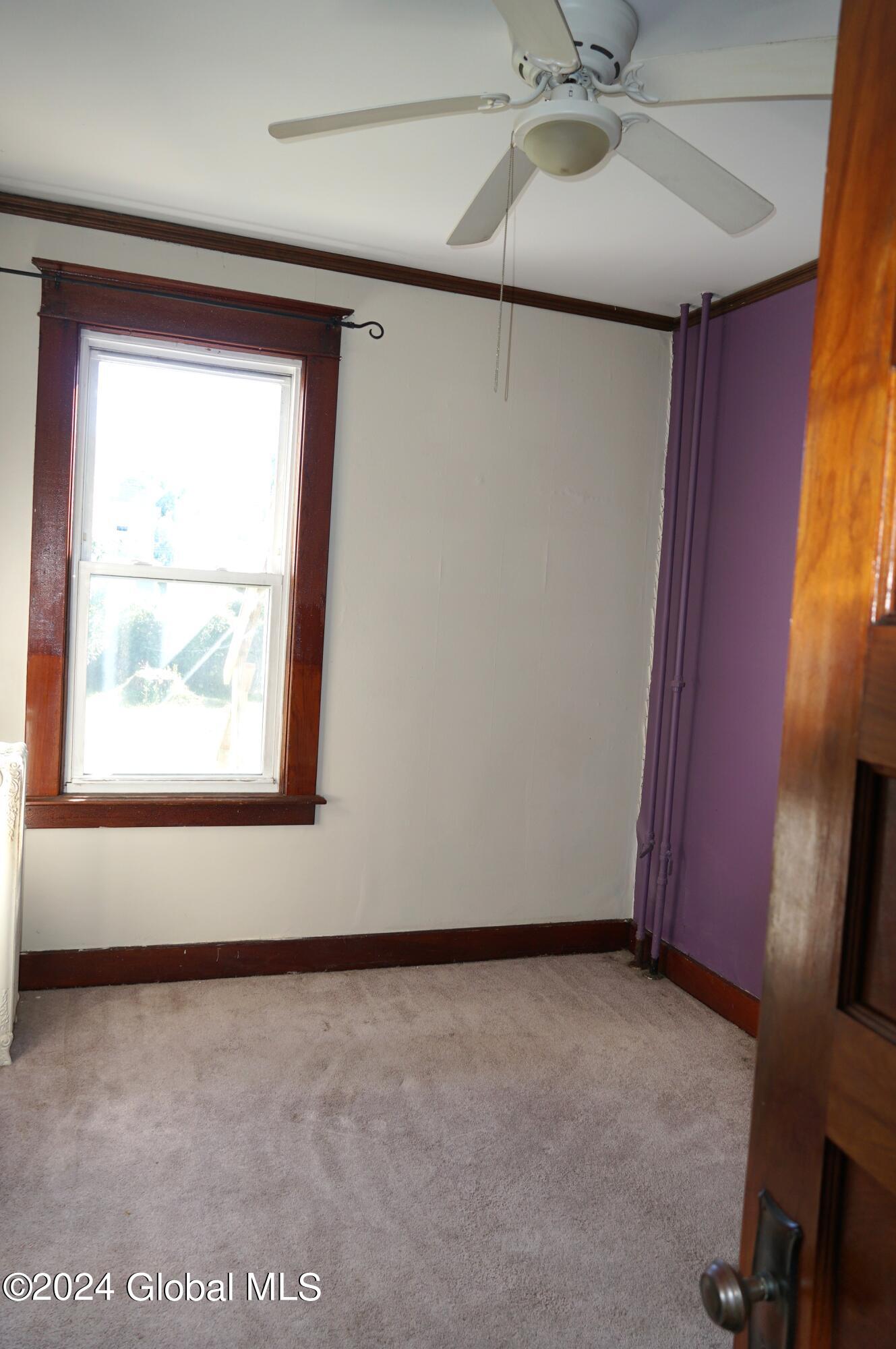 3 Hurlbut Street Albany, NY 12209 - Photo 13 of 20 DSC09983