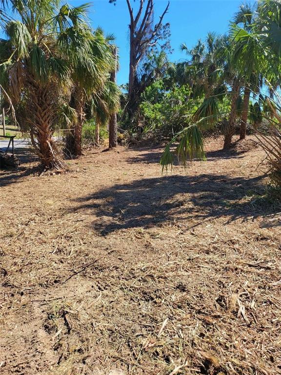 Bendix Ter Port North Port, FL 34286 - Photo 3 of 8 a view of road and yard