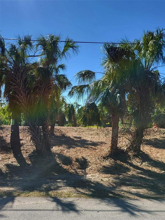 Bendix Ter Port North Port, FL 34286 - Photo 4 of 8 a view of a yard