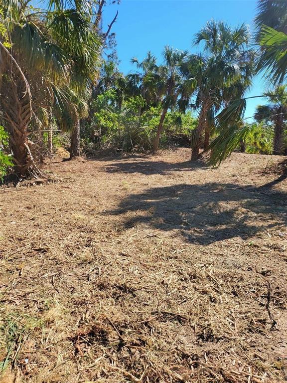 Bendix Ter Port North Port, FL 34286 - Photo 5 of 8 a view of dirt yard with a large tree