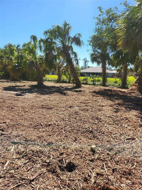 Bendix Ter Port North Port, FL 34286 - Photo 6 of 8 a view of a yard with plants and trees