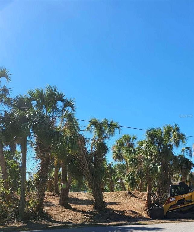 Bendix Ter Port North Port, FL 34286 - Photo 7 of 8 a view of a yard with a tree