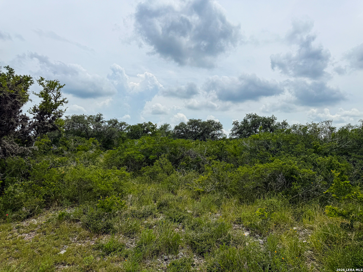 0 Lt 23 Yucca Trail Three Rivers, TX 78071 - Photo 10 of 13