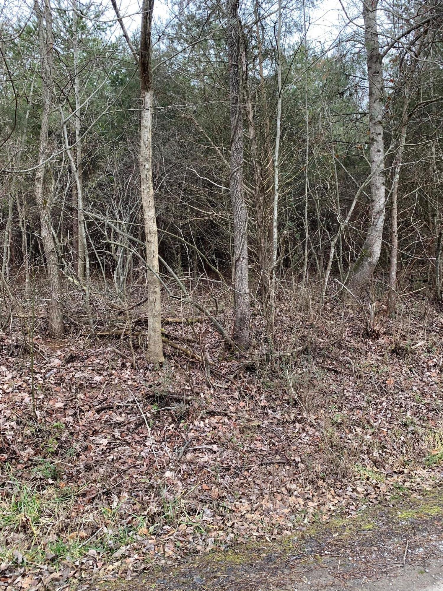 Lot 10 Brantley Acres Road Speedwell, TN 37870 - Photo 2 of 11 IMG_7429