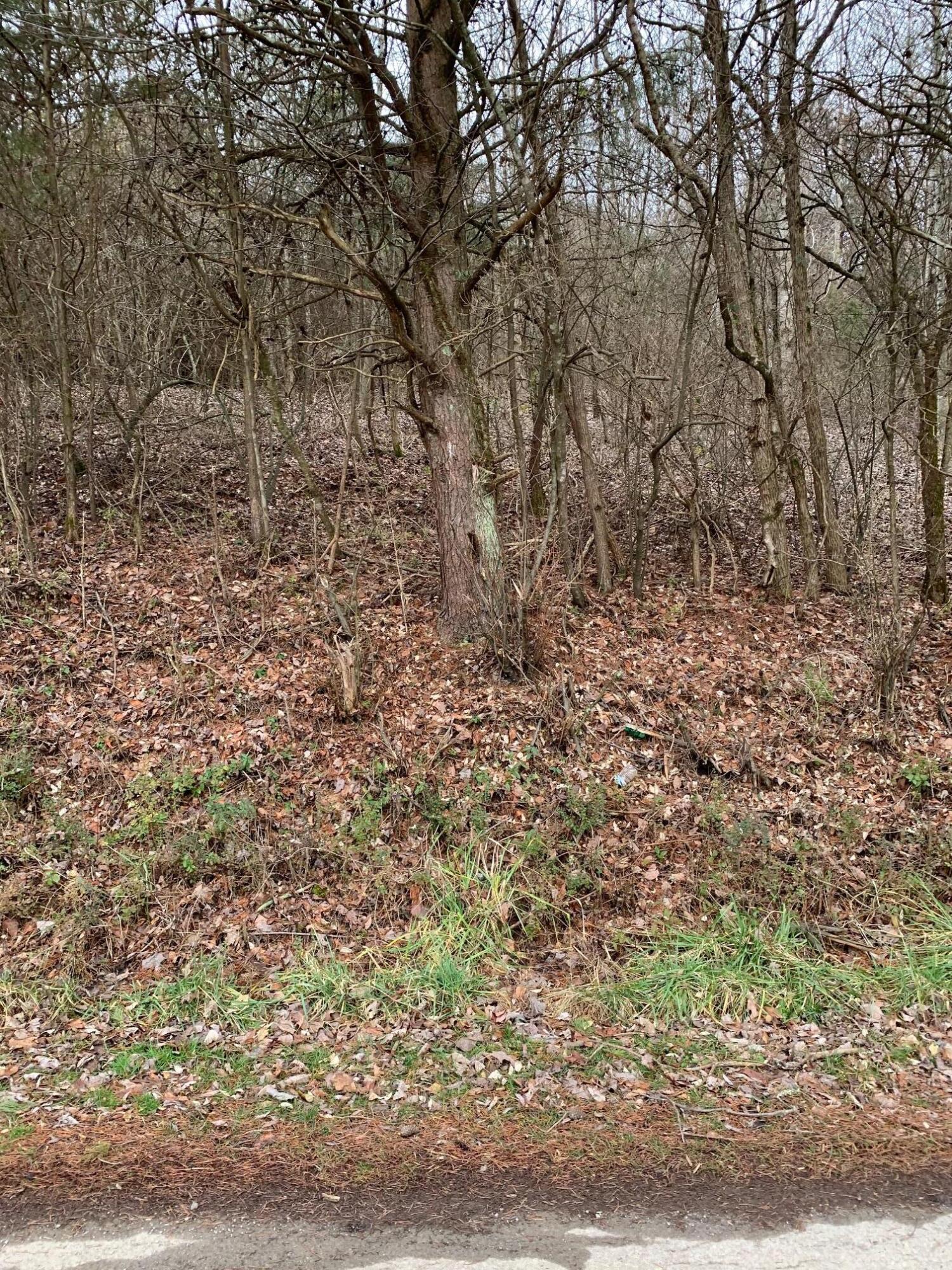 Lot 10 Brantley Acres Road Speedwell, TN 37870 - Photo 3 of 11 IMG_7430