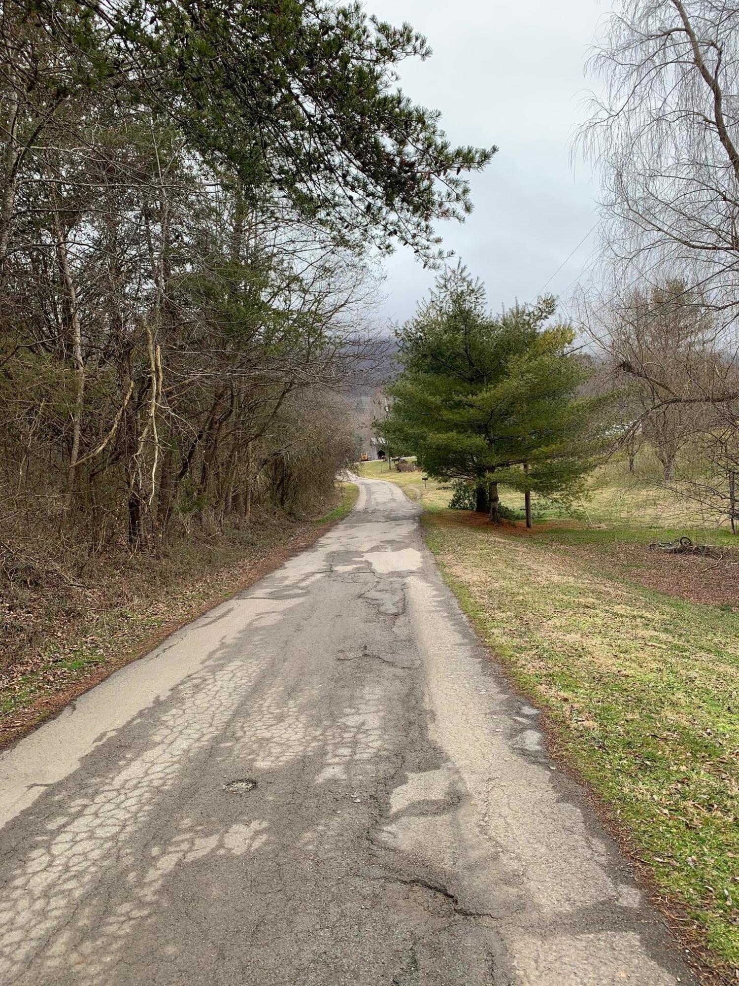 Lot 10 Brantley Acres Road Speedwell, TN 37870 - Photo 5 of 11 IMG_7432