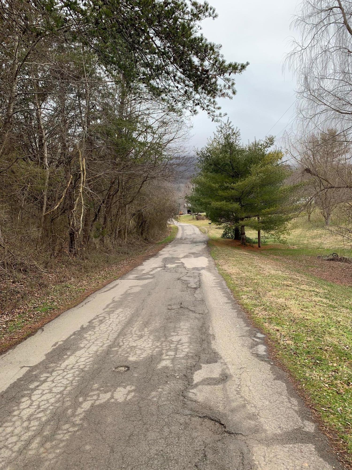 Lot 10 Brantley Acres Road Speedwell, TN 37870 - Photo 6 of 11 IMG_7433