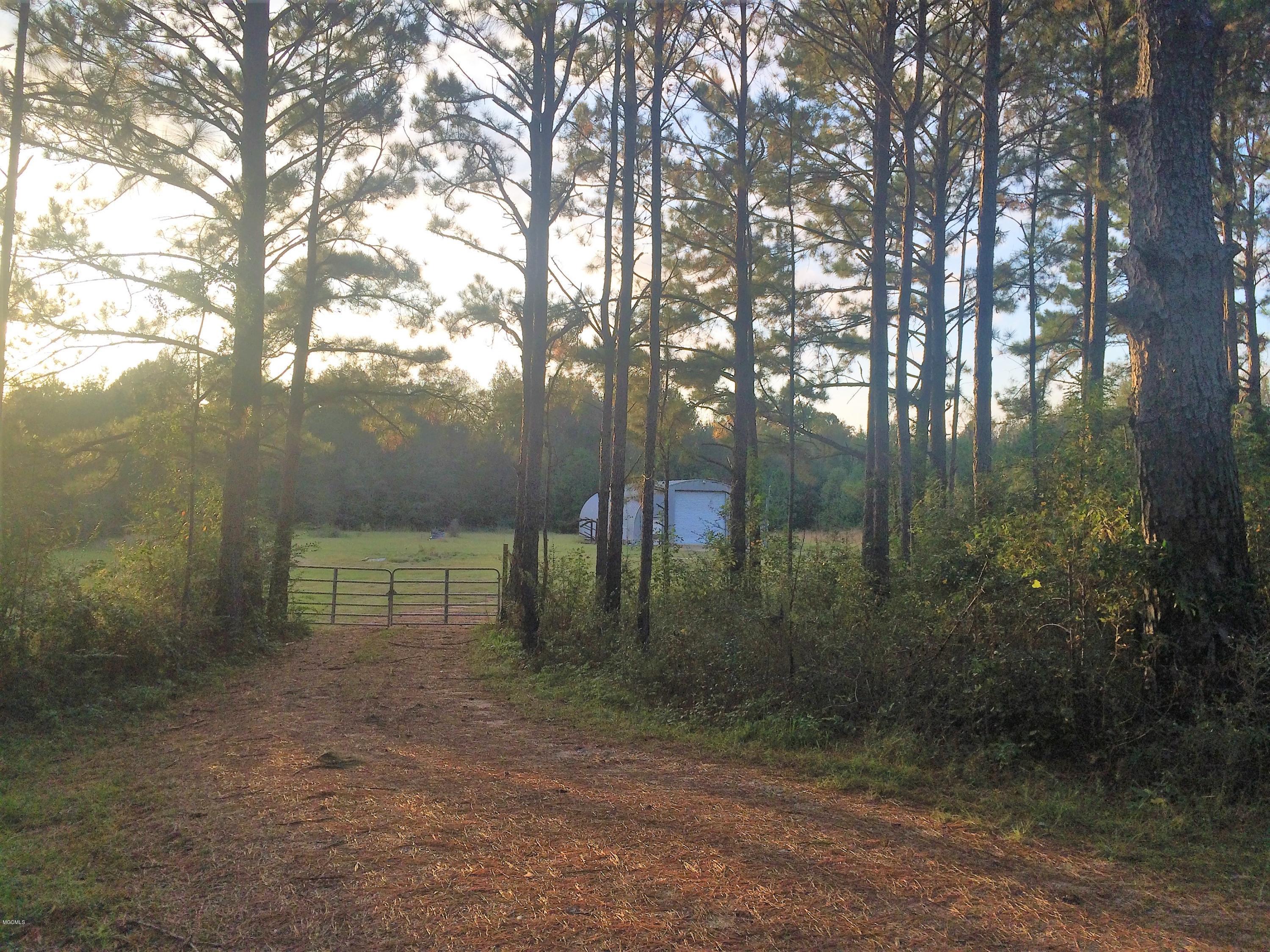 190 Wire Road West Perkinston, MS 39573 - Photo 8 of 17 IMG_3452