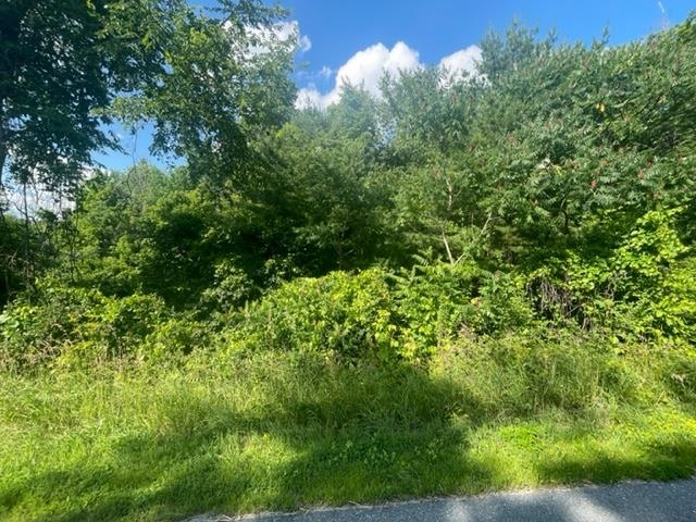 North Pownal Road North Pownal, VT 05260 - Photo 2 of 3
