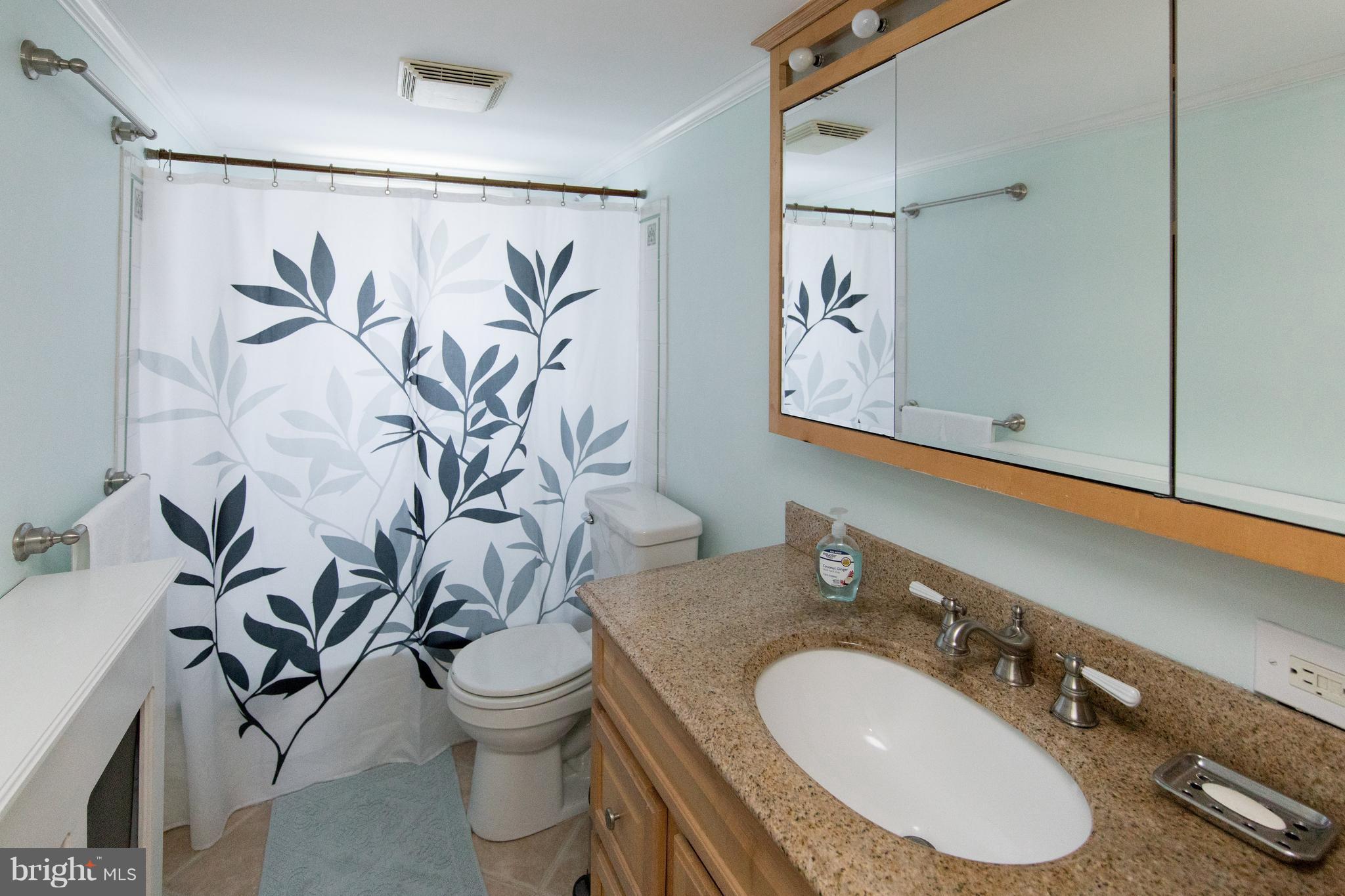 4707 Edmonston Road Hyattsville, MD 20781 - Photo 20 of 30 Bath