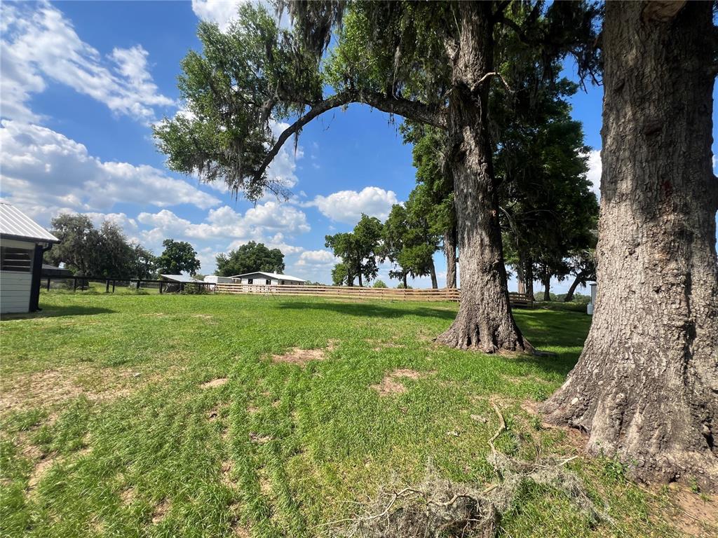 1575 Northeast 100th Street Anthony, FL 32617 - Photo 17 of 29 a view of yard with swimming pool and green space
