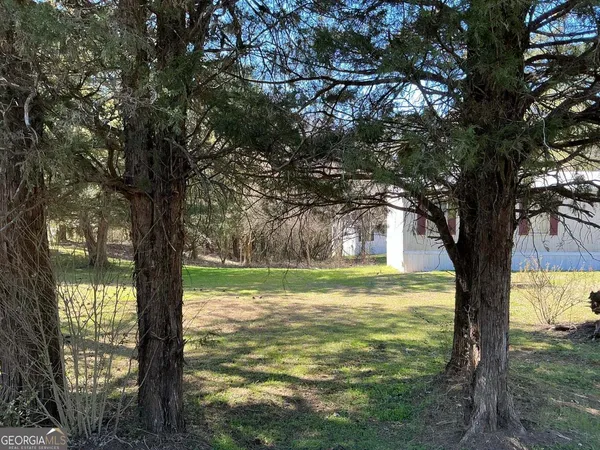 a view of a large trees with a tree in the background