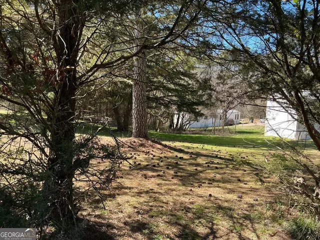 a view of a tree in a yard