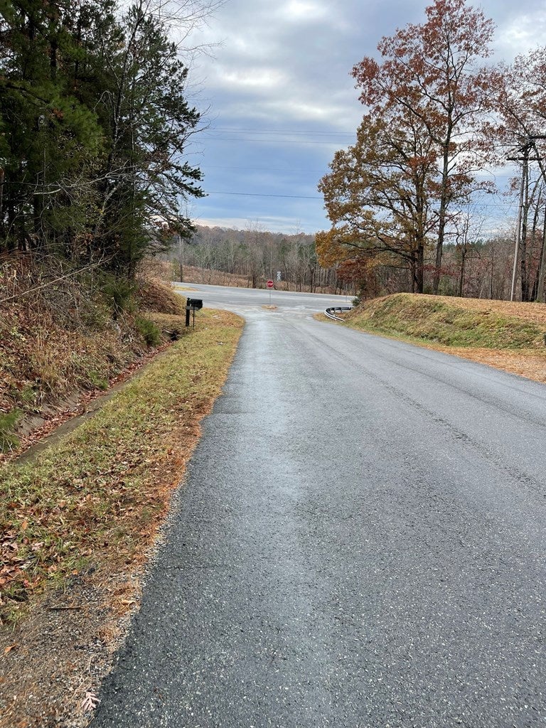 107 Carters Point Road Buffalo Junction, VA 24529 - Photo 24 of 25 Road View